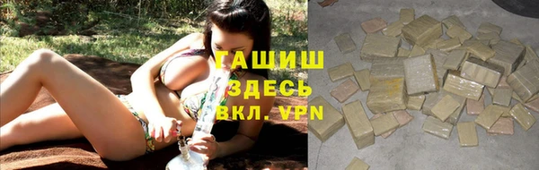 прущие грибы Коряжма