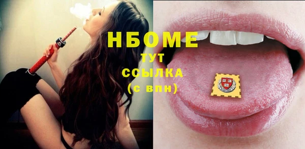 прущие грибы Коряжма