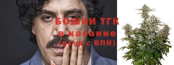 прущие грибы Коряжма