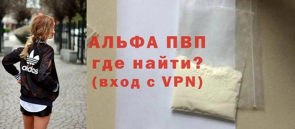 прущие грибы Коряжма
