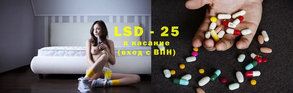 прущие грибы Коряжма