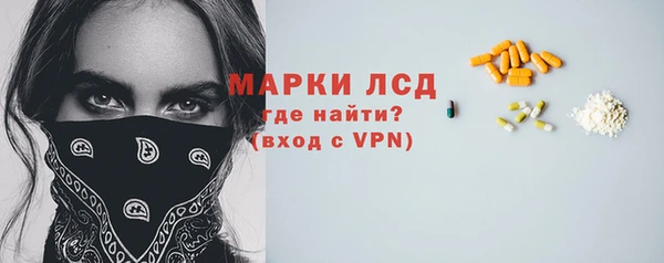 прущие грибы Коряжма