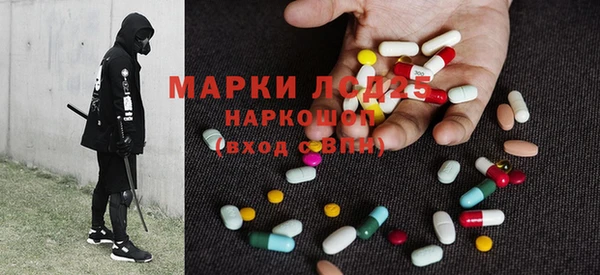 прущие грибы Коряжма