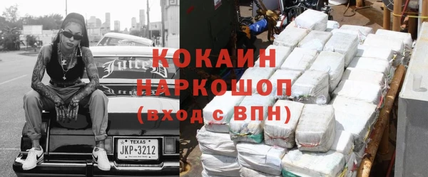 прущие грибы Коряжма