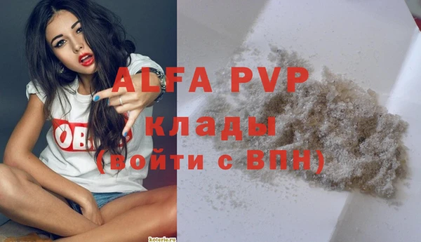 прущие грибы Коряжма
