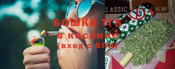 прущие грибы Коряжма