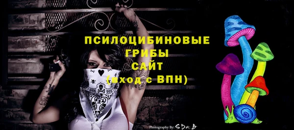 прущие грибы Коряжма