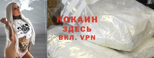 прущие грибы Коряжма