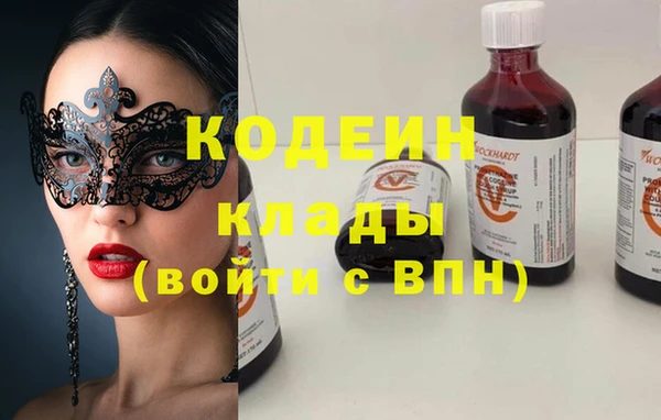 прущие грибы Коряжма