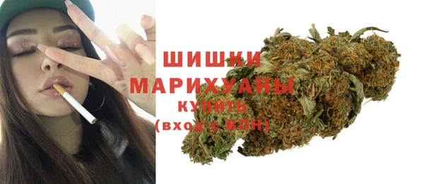 прущие грибы Коряжма