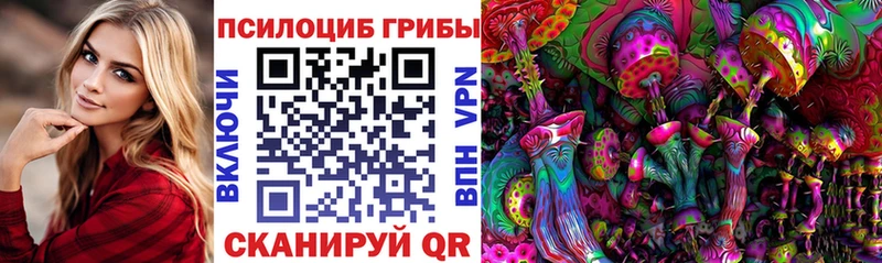 Купить где  Плавск  Псилоцибиновые грибы мухоморы 